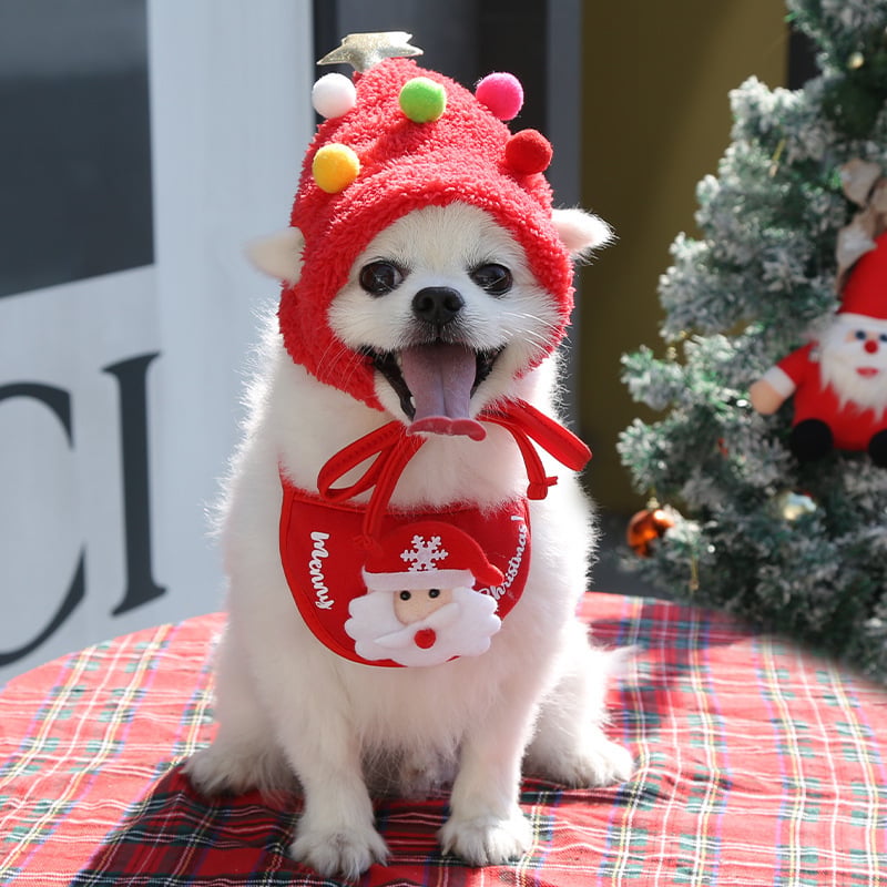 MerryPaws Holiday Hat + Bib Set