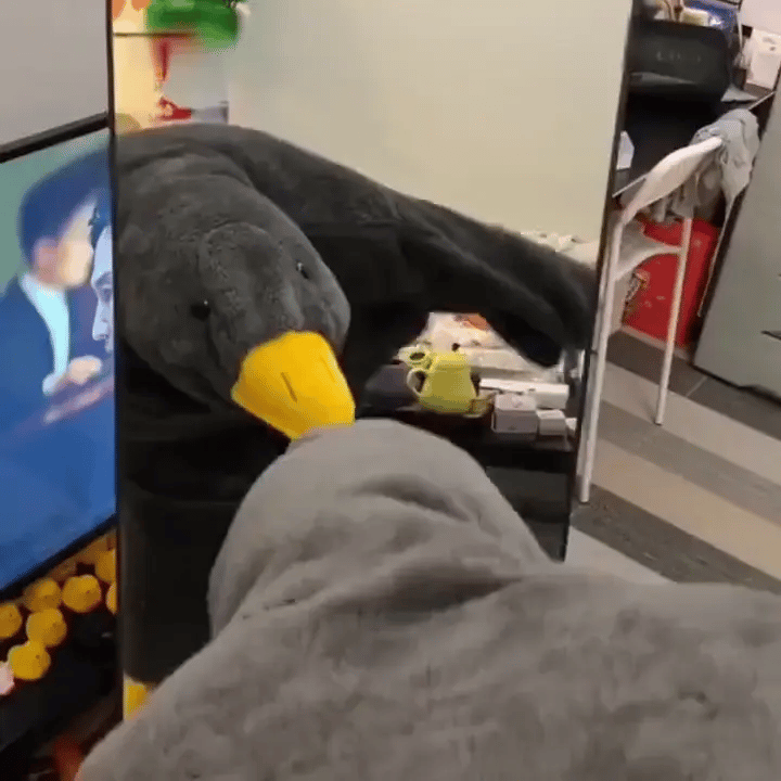 QuackWrap – Wearable Silly Goose Blanket