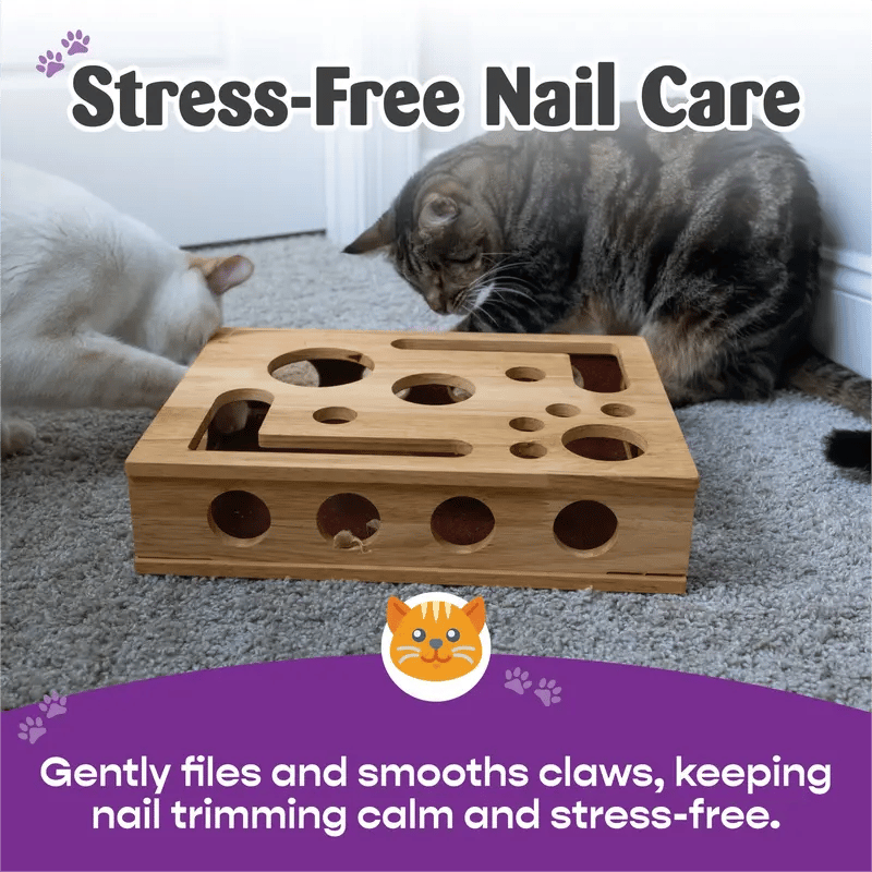 PurrFile Nail Care Puzzle Box