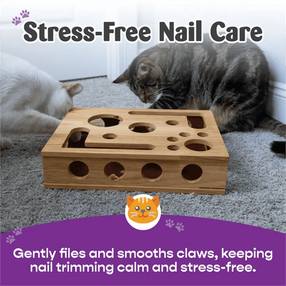 PurrFile Nail Care Puzzle Box