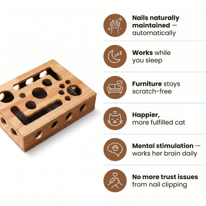 NailNest Nail Organizer