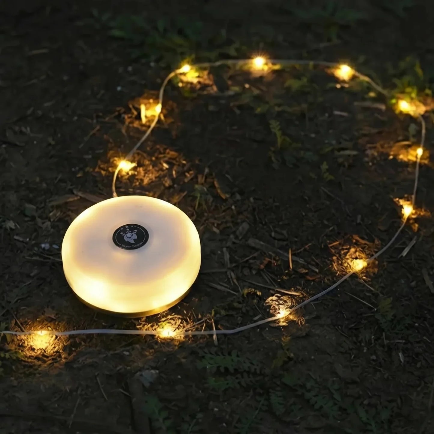 Solar Outdoor String Lights