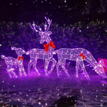 HolidayGlow Reindeer Family