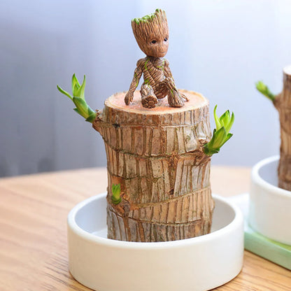 Lucky Groot Wood