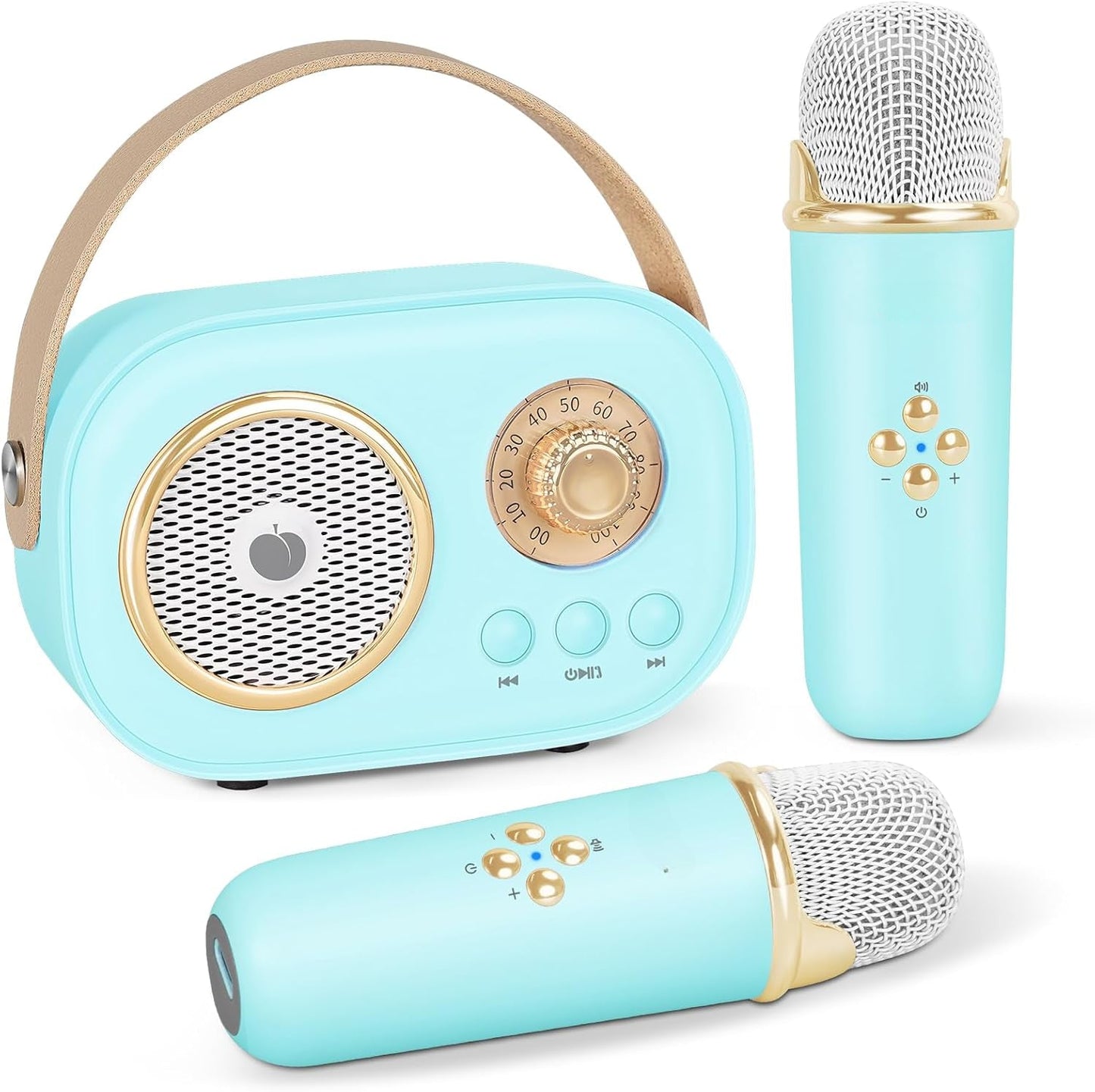 JoyTunes Karaoke Set