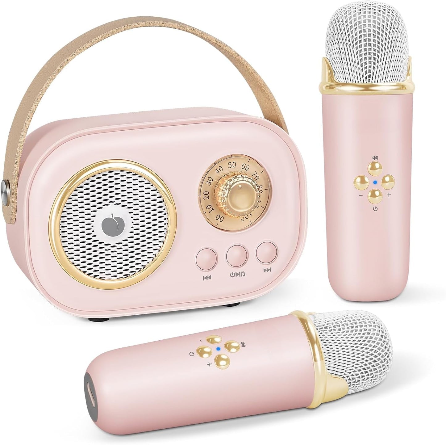 JoyTunes Karaoke Set