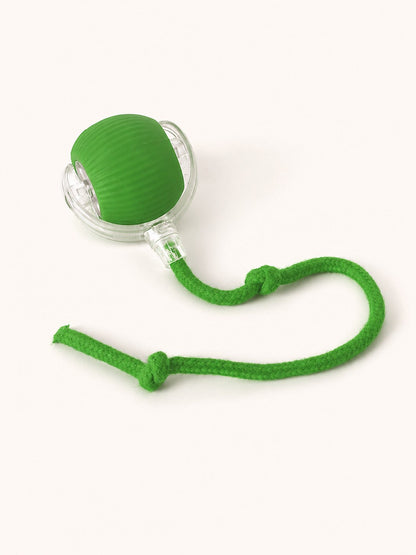 Interactive Rolling Tail Ball