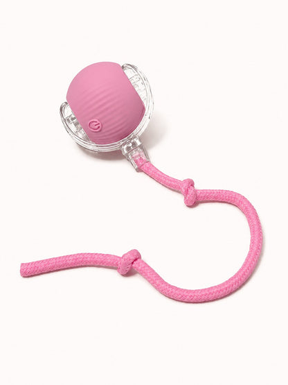 Interactive Rolling Tail Ball