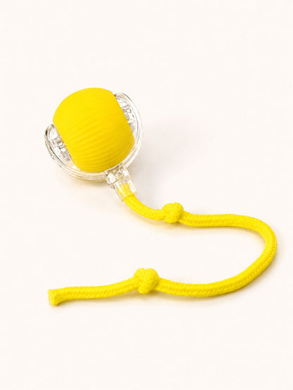 Interactive Rolling Tail Ball