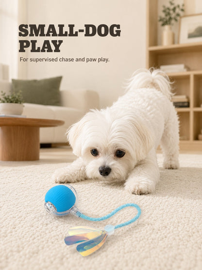 Interactive Rolling Tail Ball