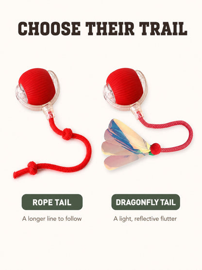 Interactive Rolling Tail Ball