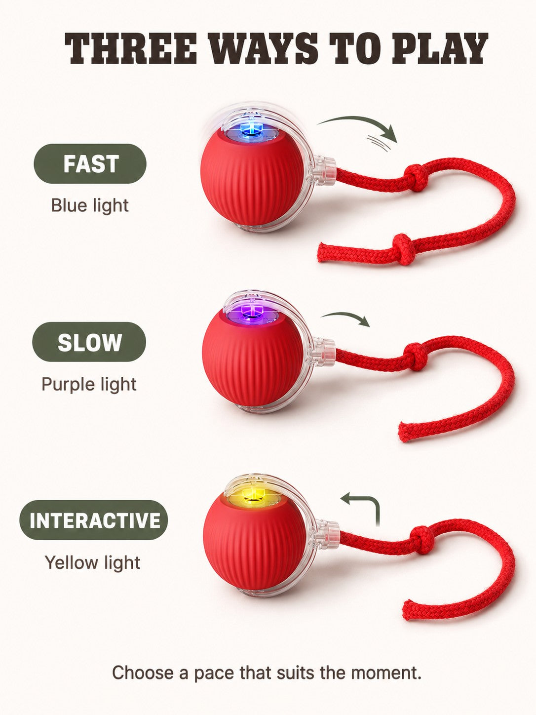 Interactive Rolling Tail Ball