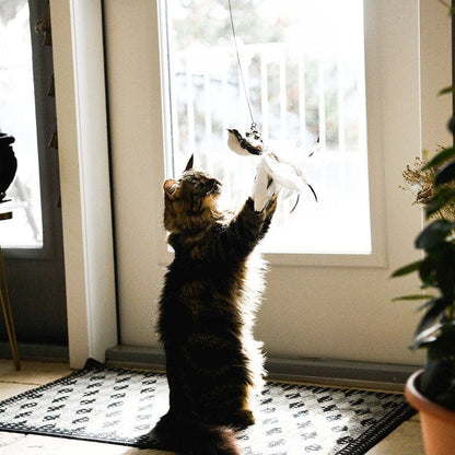 Interactive Bird Simulation Cat Toy
