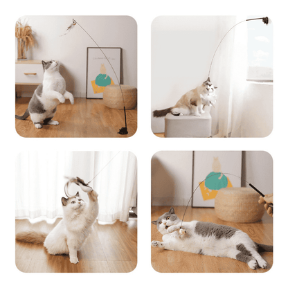 Interactive Bird Simulation Cat Toy