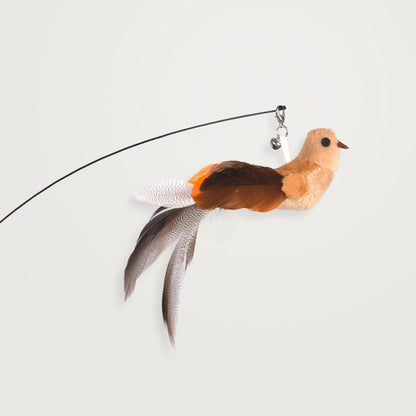 Interactive Bird Simulation Cat Toy