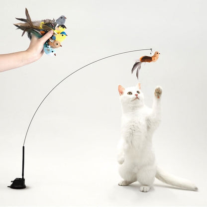 Interactive Bird Simulation Cat Toy