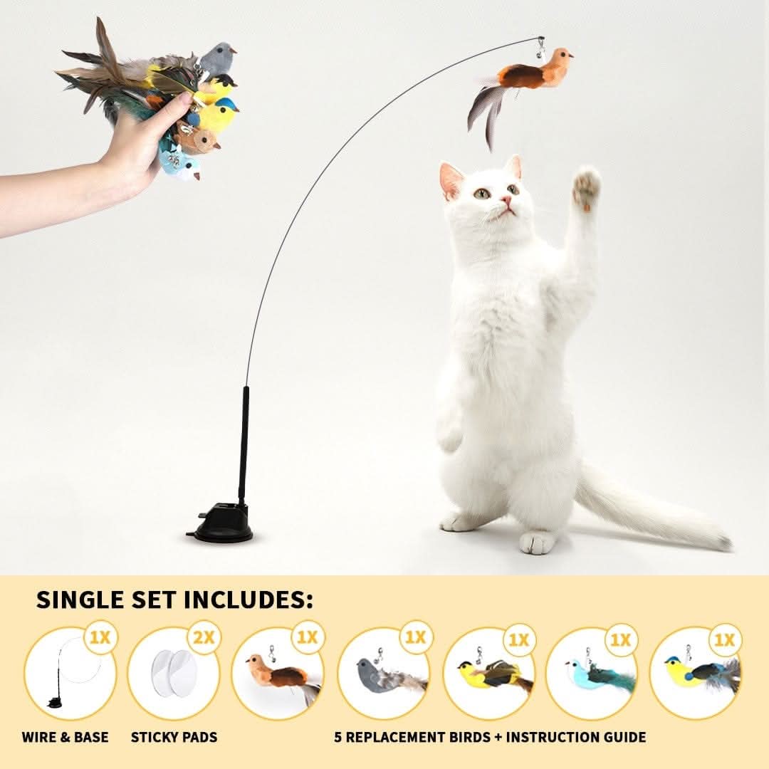 Interactive Bird Simulation Cat Toy