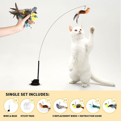 Interactive Bird Simulation Cat Toy