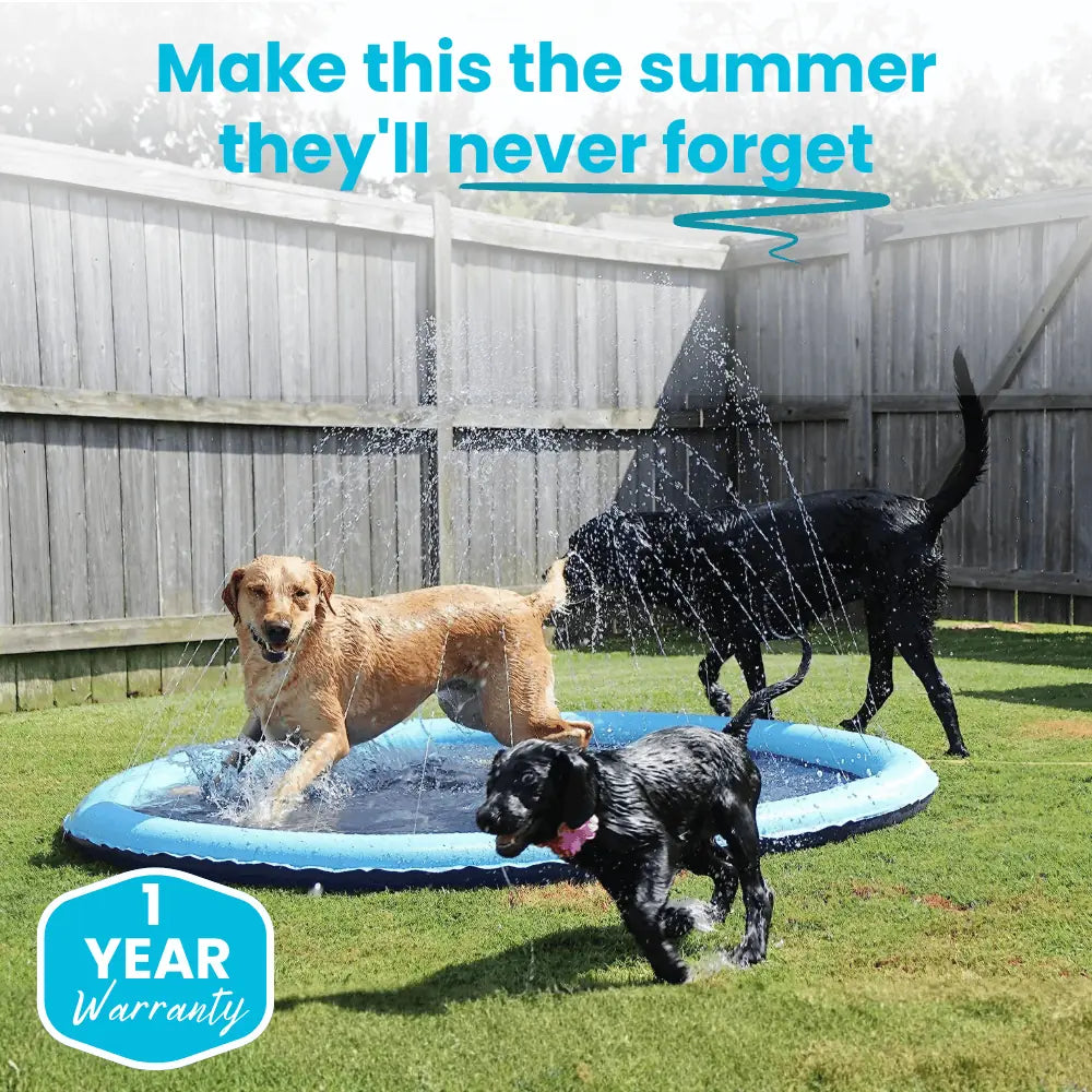 Pup Splash Pad