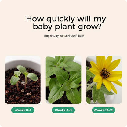 GrowBud Smart Planter