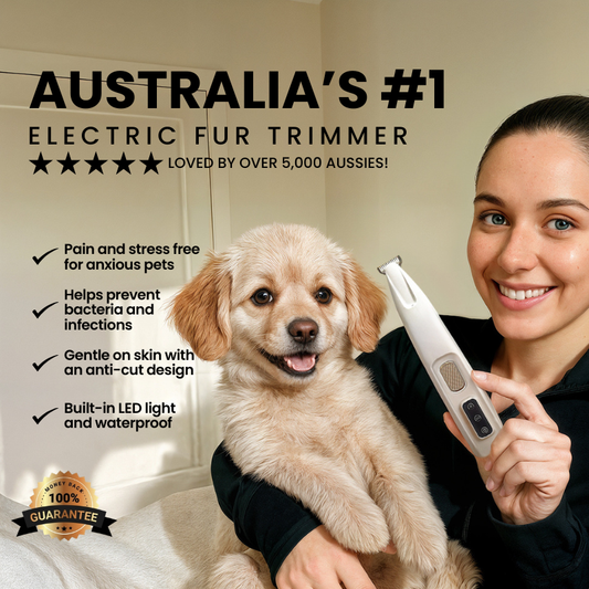 Pet Paw Fur Trimmer