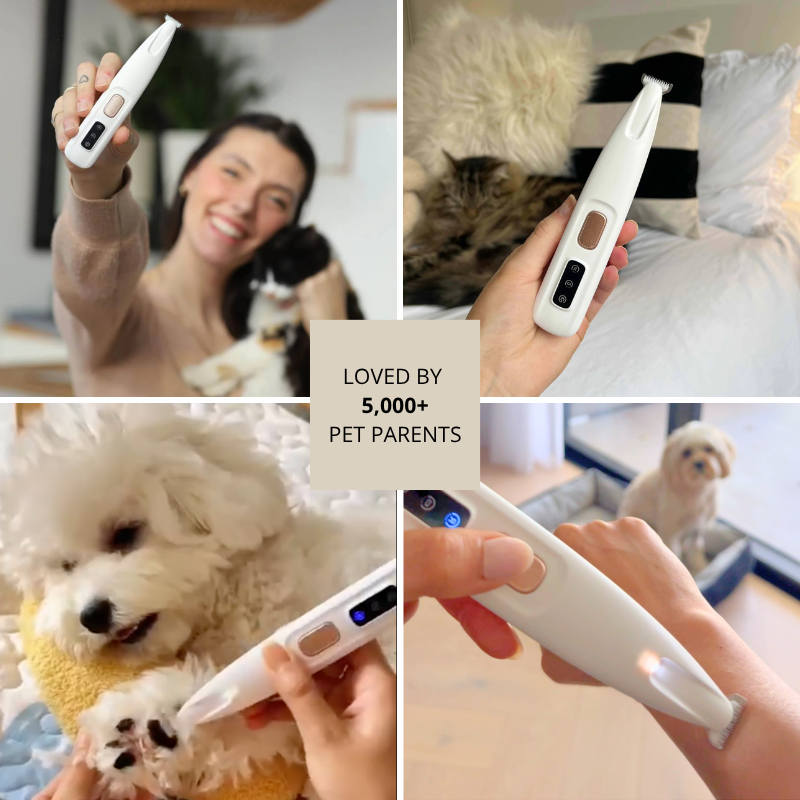 Pet Paw Fur Trimmer
