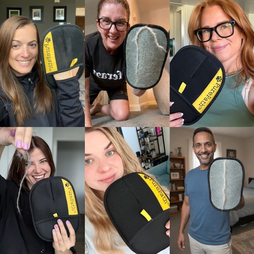 PurePath™ Pet Hair Glove