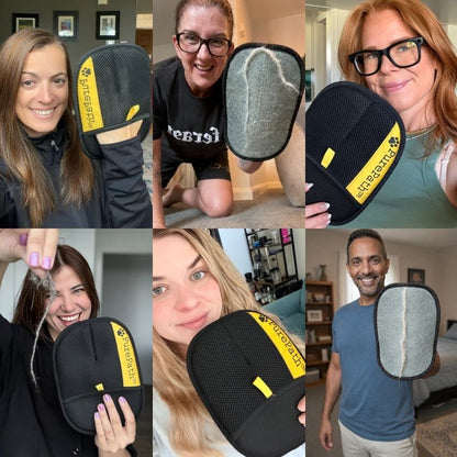PurePath™ Pet Hair Glove