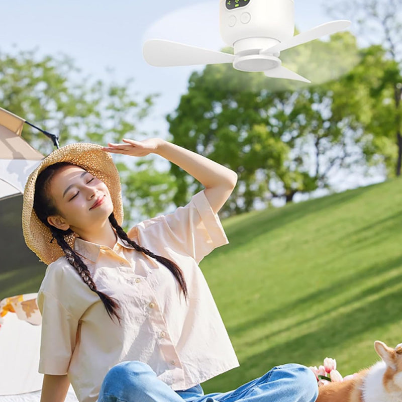 Rechargeable LED Ceiling Fan