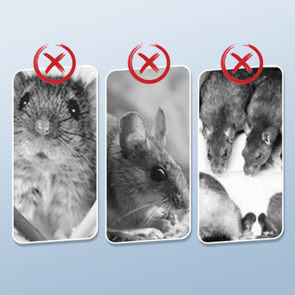 TrapMaster Heavy Duty Mouse Trap