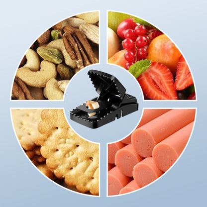 TrapMaster Heavy Duty Mouse Trap