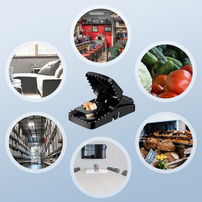 TrapMaster Heavy Duty Mouse Trap