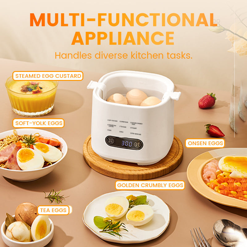 EggSmart Touch Cooker