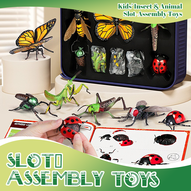 BioCraft Assembly Models