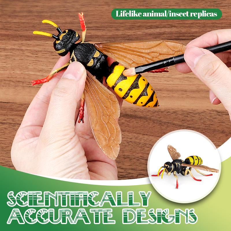BioCraft Assembly Models