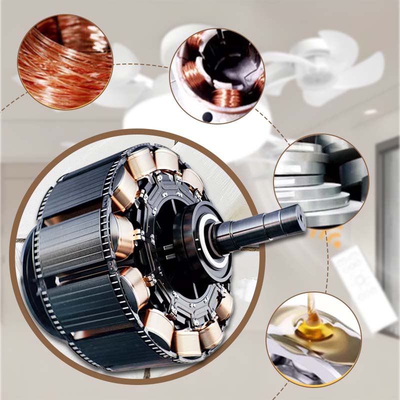 Modern LED Ceiling Fan Light